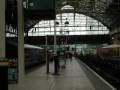 Manchester