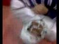 HOYOTO TOCHO EXTREMO