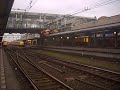 Hondekop 766 Den bosch