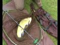 Tench from Aynho-Nellbridge fishery Tench from Aynho-Nellbridge fishery