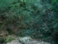 la font del rac� - l\