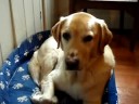 Why should I wake up?