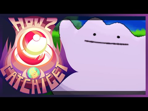 how to find ditto in pokemon x