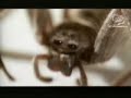 Cannes Lions 2005 (Grosby) Cannes Lions 2005 (Grosby)