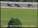 Liams Dynesty B Stake CDP