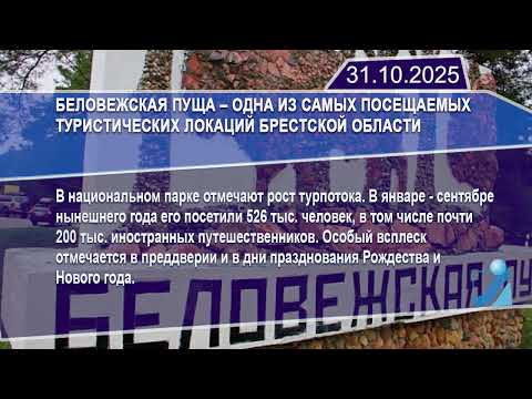 Новостная лента Телеканала Интекс 31.10.25.