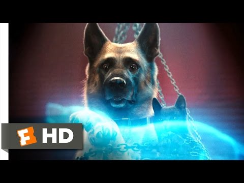Cats & Dogs: The Revenge of Kitty Galore #6 Movie CLIP - Kitty's Evil Plan (2010) HD