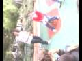 videos de pelea de gallos 5