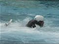 Waterramp Aerial Quad Training