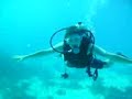 egypt diving