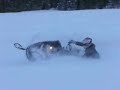 North Idaho extreme powder snowmobiling North Idaho extreme powder snowmobiling