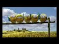Pixar Chicken Advert