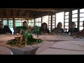 Video Entremes