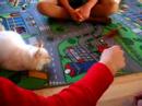 Cat plays Cat plays
