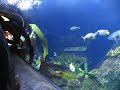 Casino Aquarium Winnipeg, Manitoba December 7, 2009