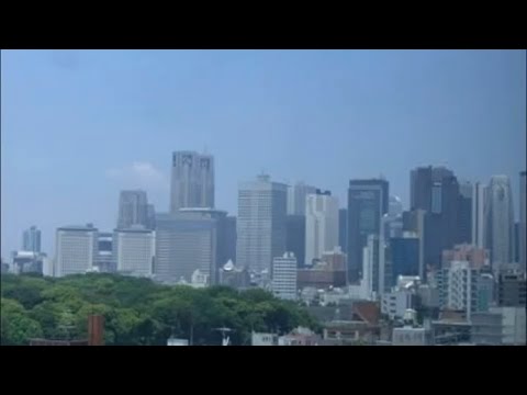 動画