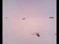 saut corniche