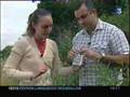 Reportage Cistes France3 Languedoc-Roussillon