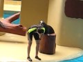 Robben-Show im Loro Parque, Teneriffa