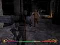 videos de Eragon - Darza's fortress part 3 (lvl 10)