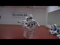 tae kwan do