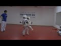 tae kwan do