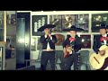 picco – Venga