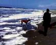Lois en Binck op het strand