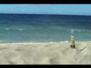 My Corona Commercial