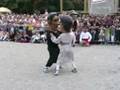 Inici del Ball del Centenari dels Gegants i Capgrossos de To