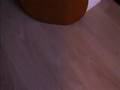 Test-Intro