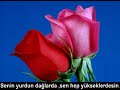 kardelen