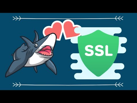Wiresharking TLS - What happens during TLS 1.2 and TLS 1.3 Handshake