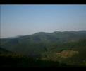 S�lyom b�rc 2007 augusztus