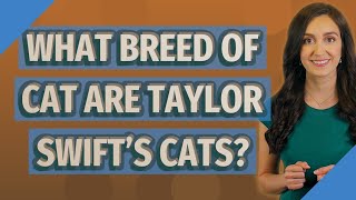 What breed of cat are Taylor Swift's cats?
