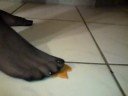 Nylon Clayman Crush/Trampling