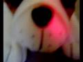 videos de The Winner Of 