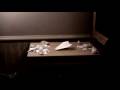 Paper Airplane Movie trailer