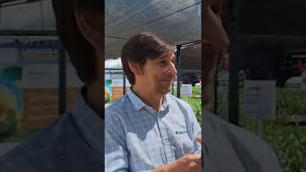 Corteva: Reklemel™️ é nova arma contra nematoides!