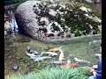 berjaya-hills-colmar-tropicale-resort.html