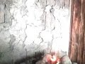 Blacksmiths Day 2008 V�rmlands Nys�ter