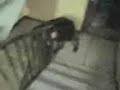 Jean Paul Escalier