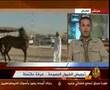 فن التعامل مع الخيول