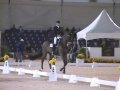 Steffen Peters and Ravel Freestyle