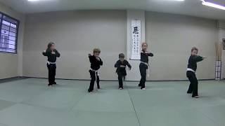 Dafnomili Dojo 2016. Working with kids