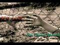Toygar isikli Tutsak **FULL VERSION**