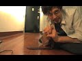 Best Short Films - Episode 3 - The Dating Game