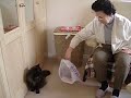 Babcia bawi sie z Sabsi 1 Babcia bawi sie z Sabsi 1