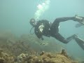 1st Diving Video