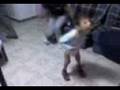 videos de el pollito bailador